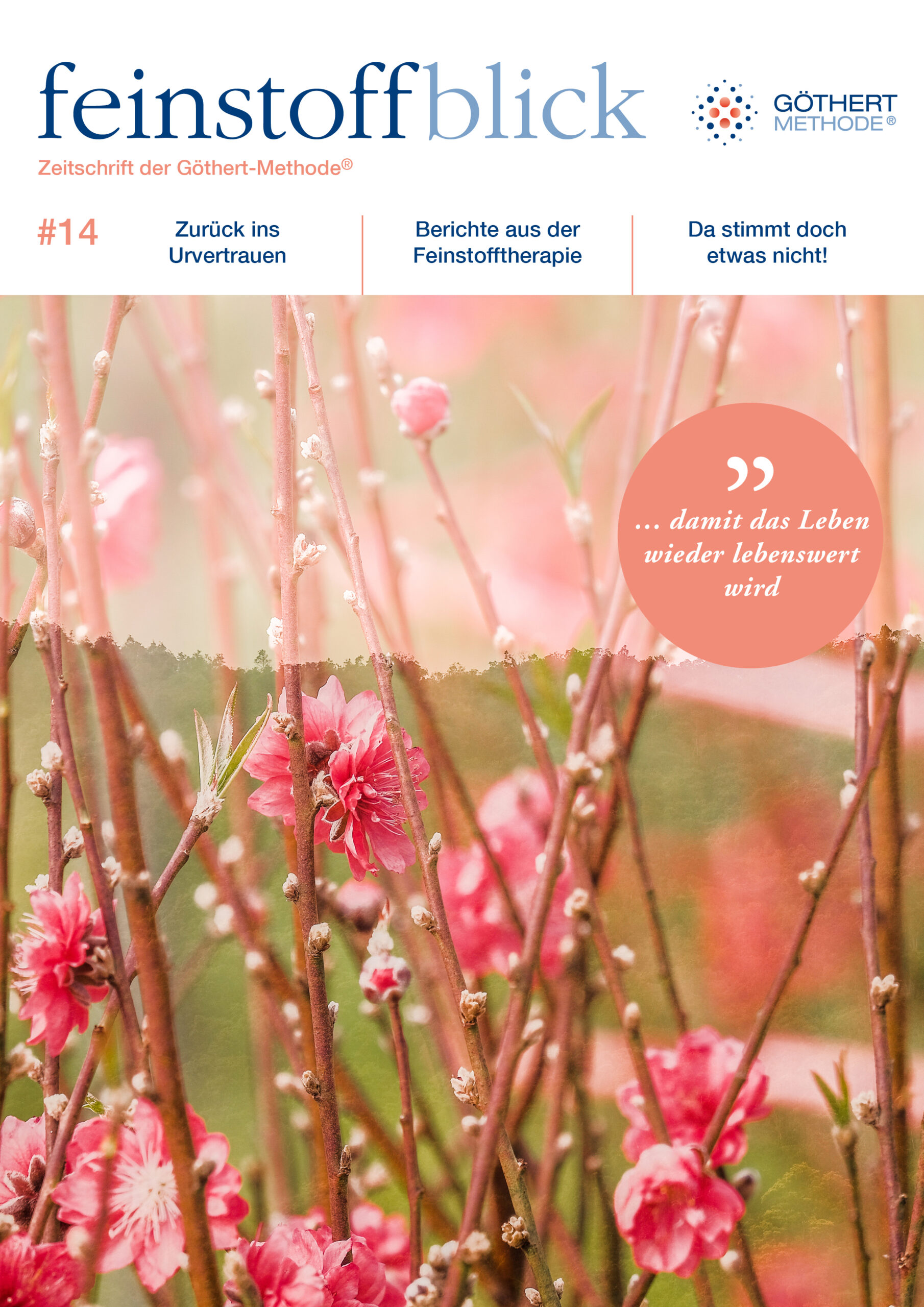 Titelseite feinstoffblick 14_feinstoffblick14-Titelseite-300dpi1658137246043